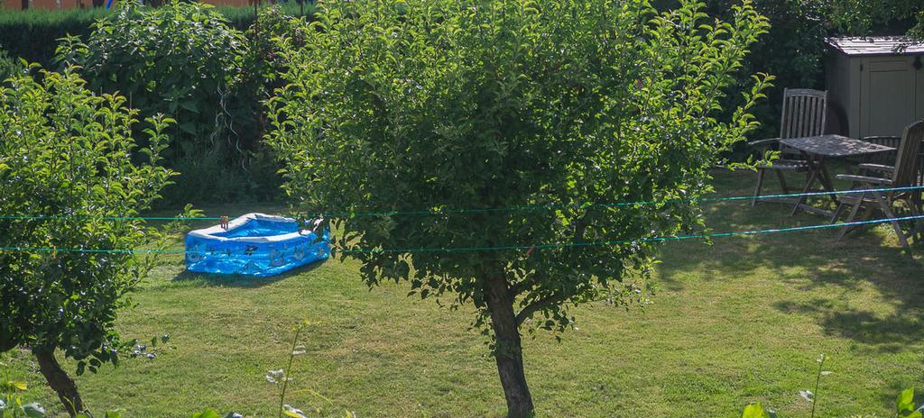 Ferienwohnung Am Elberadweg Drezda Szoba fotó