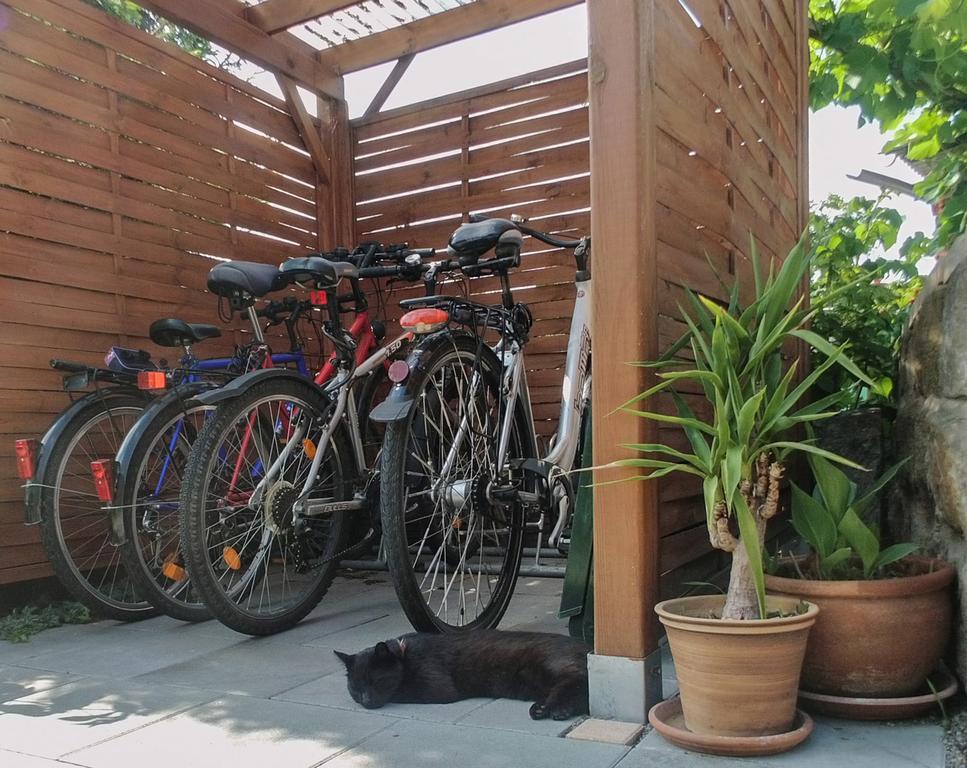 Ferienwohnung Am Elberadweg Drezda Kültér fotó