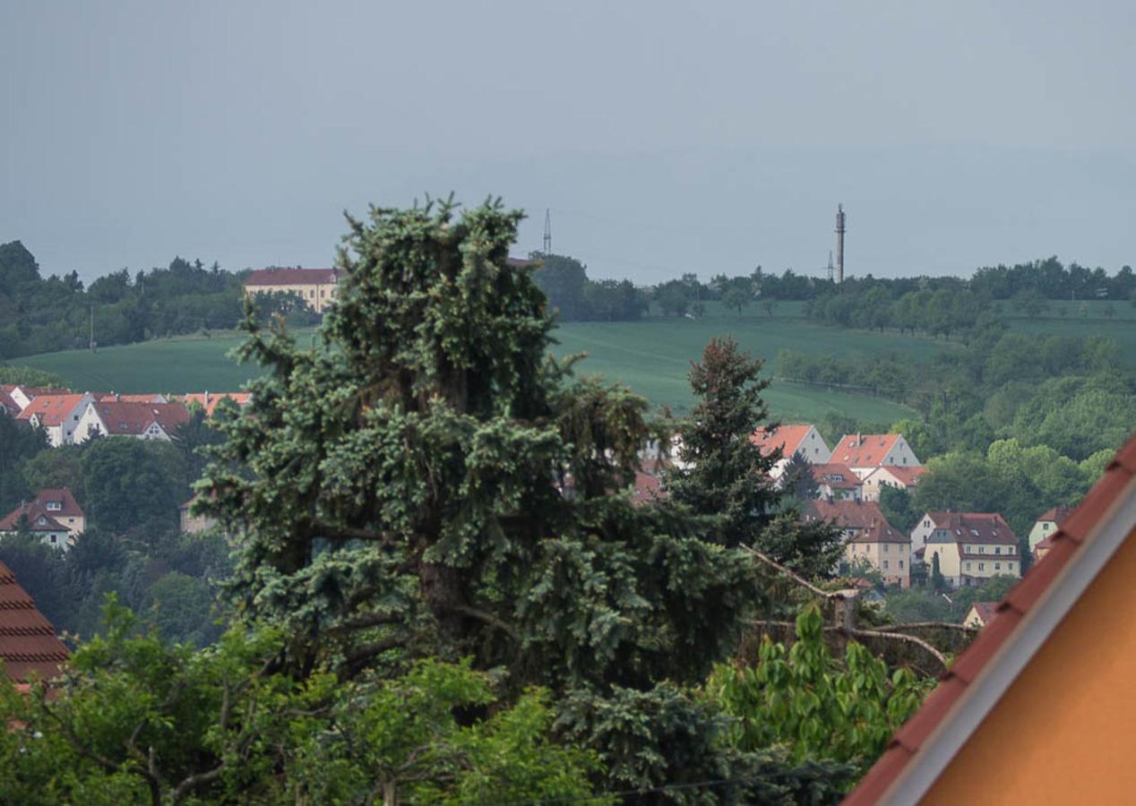 Ferienwohnung Am Elberadweg Drezda Szoba fotó